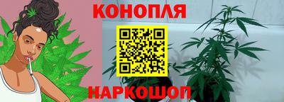 дживик Новодвинск