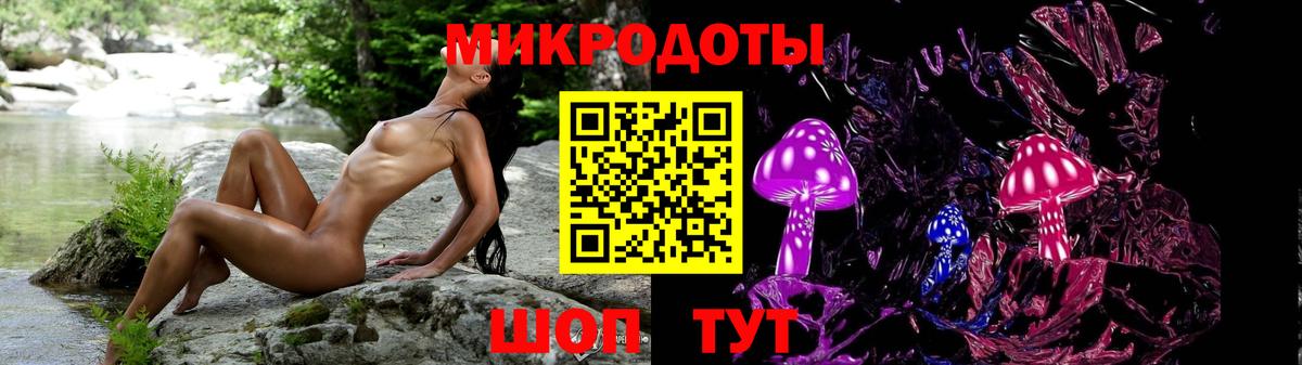 Псилоцибиновые грибы Psilocybe  Вход с VPN  Улан-Удэ 